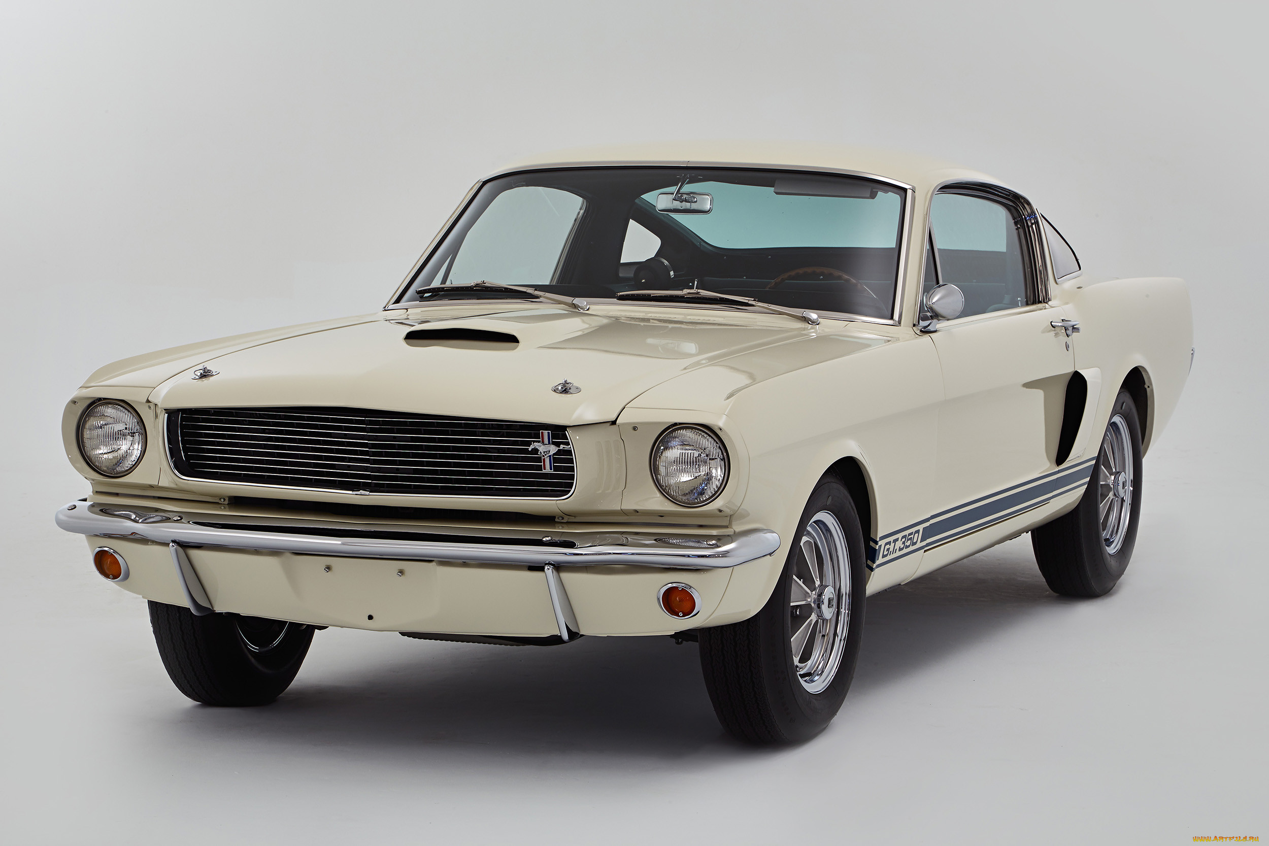 , mustang